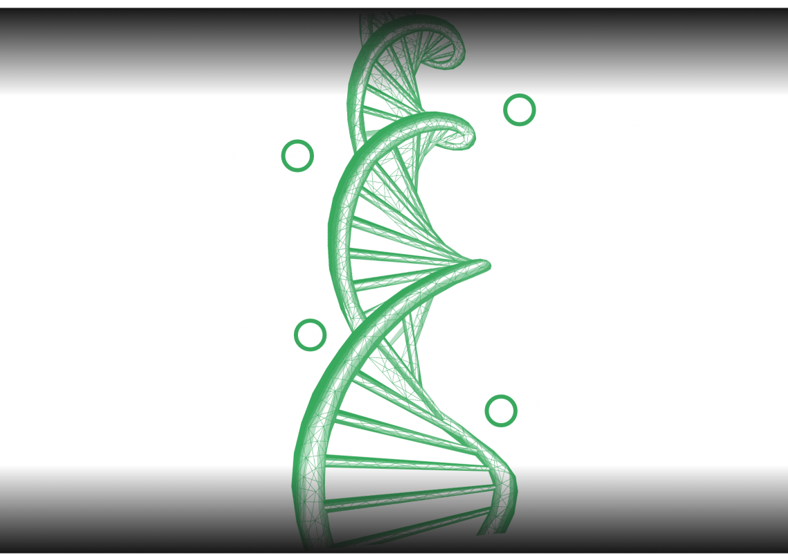 Dna DeafCat Studios